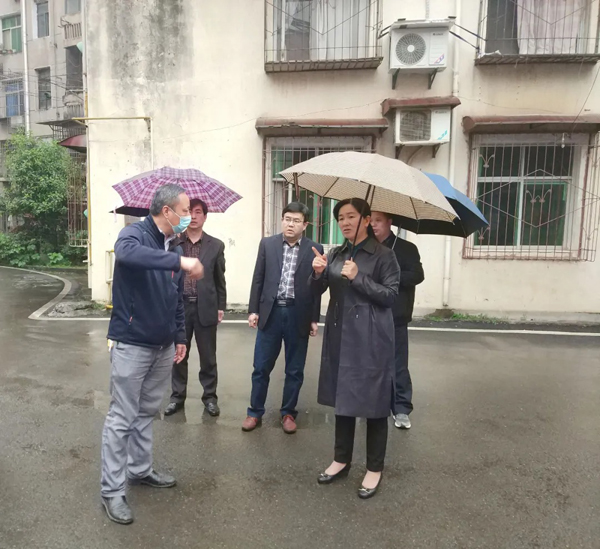 徐莉带队检查省环保督察回头看重点投诉举报点位整改工作